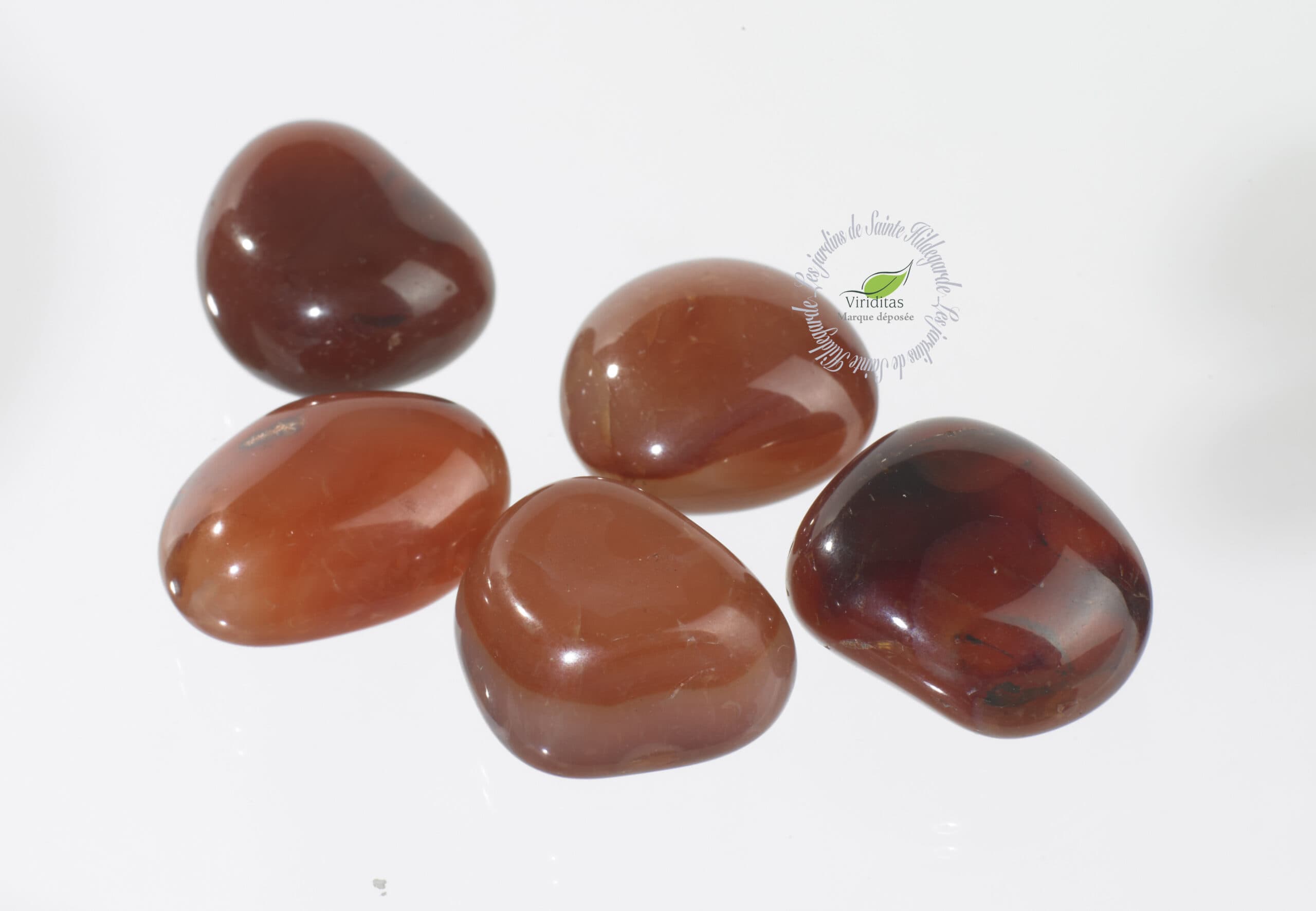 SARDOINE