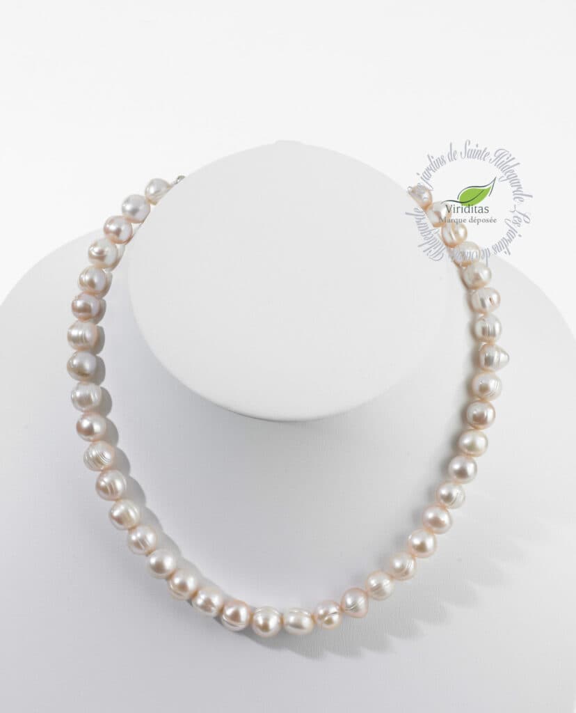 PRASE Les Jardins de SainteHildegarde