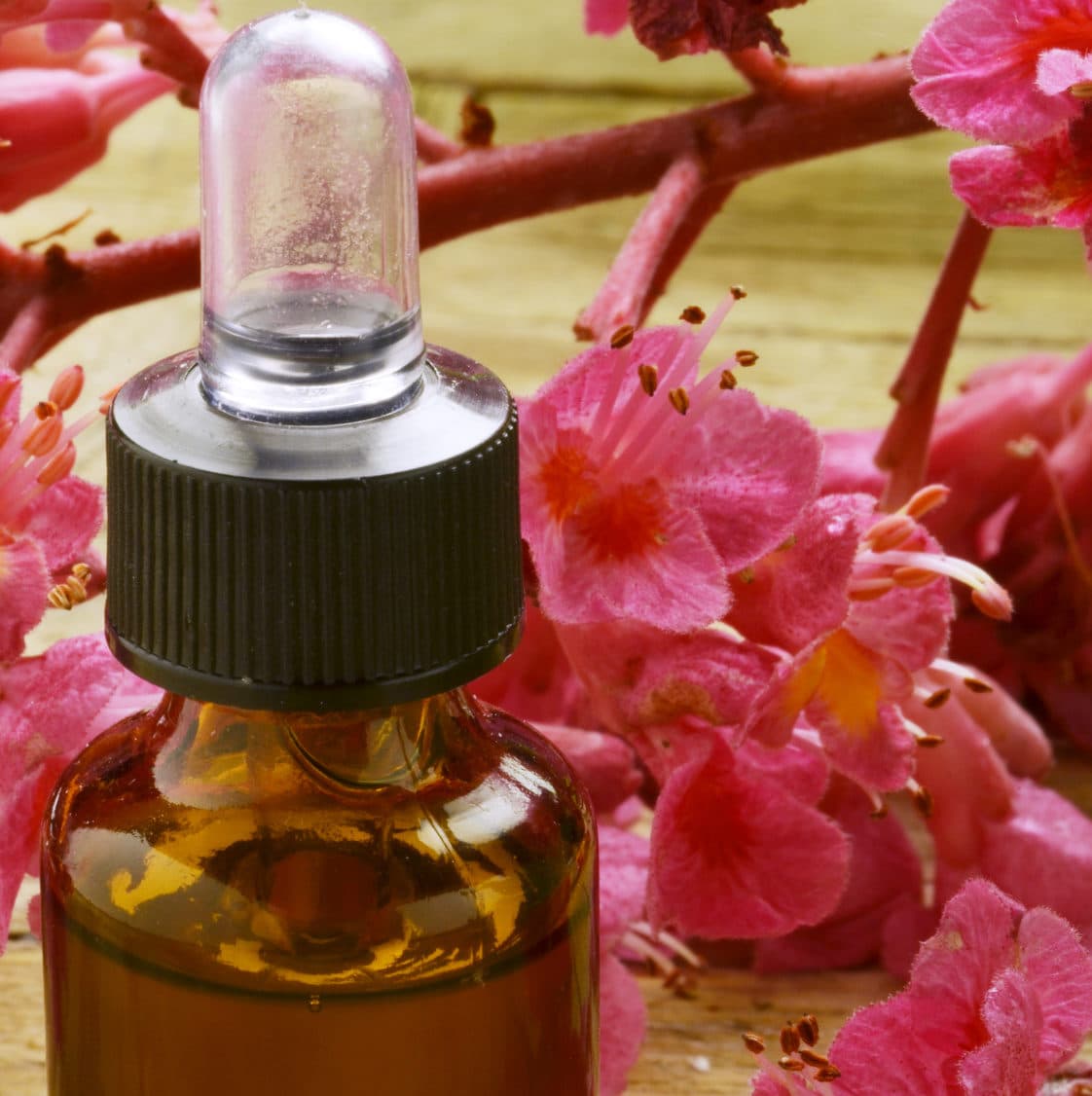 PRODUCTS OF THE HIVE Les Jardins de SainteHildegarde