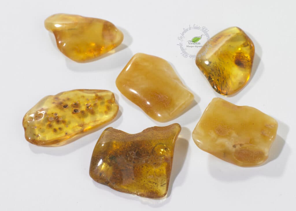 VEGETAL AMBER Les Jardins de SainteHildegarde