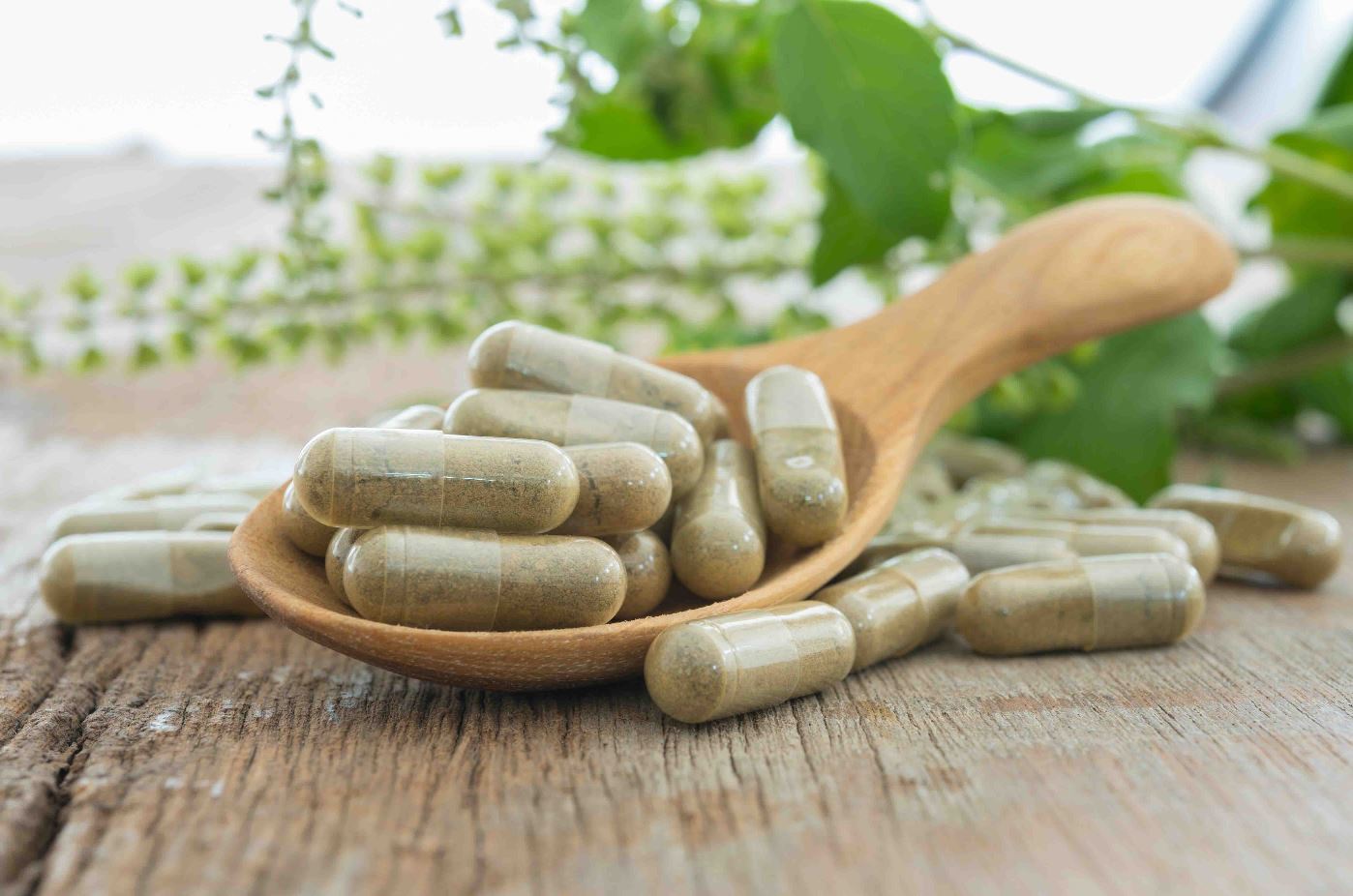 CMPLT ALIMENTAIRES A BASE DE PLANTES