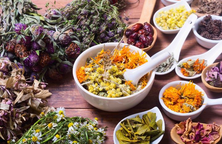 Plants and spices