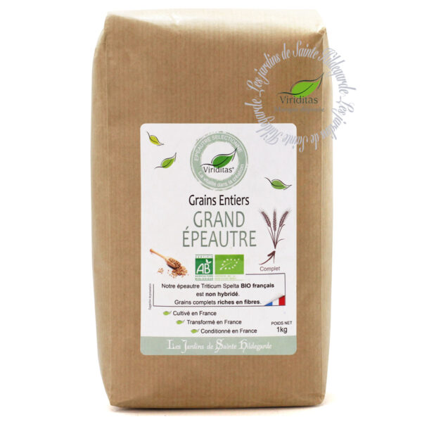 GRAIN DE GRAND ÉPEAUTRE* BIO sachet de 1KG * Non croisé avec du blé (non hybridé) - Variété 'OBERKULMER'- Triticum spelta * issu de l'agriculture biologique - Origine France. Recommandé par sainte Hildegarde de Bingen