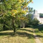 revendeur des produits les Jardins de Sainte Hildegarde