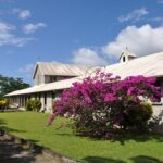 revendeur des produits les Jardins de Sainte Hildegarde