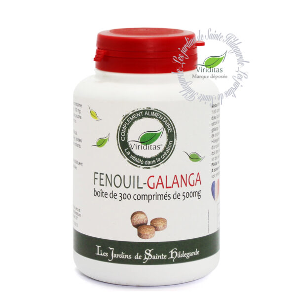 boîte de 300 comprimés de fenouil-galanga rouge, 500mg, recommandé par sainte Hildegarde de Bingen