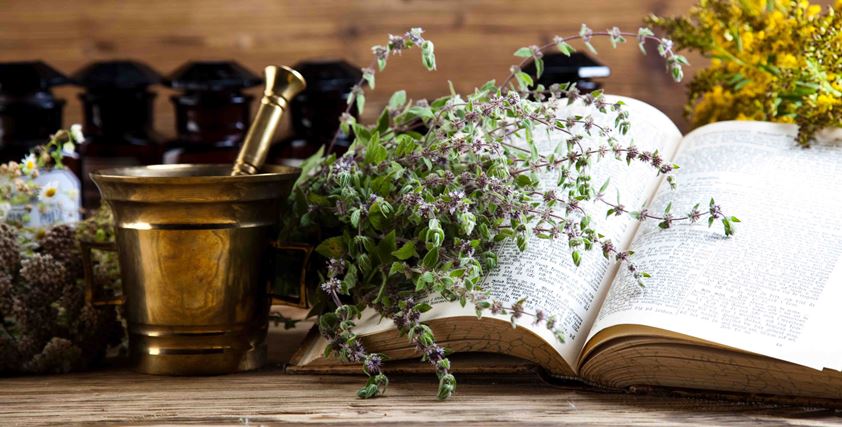DISCOVER OF SAINT HILDEGARD