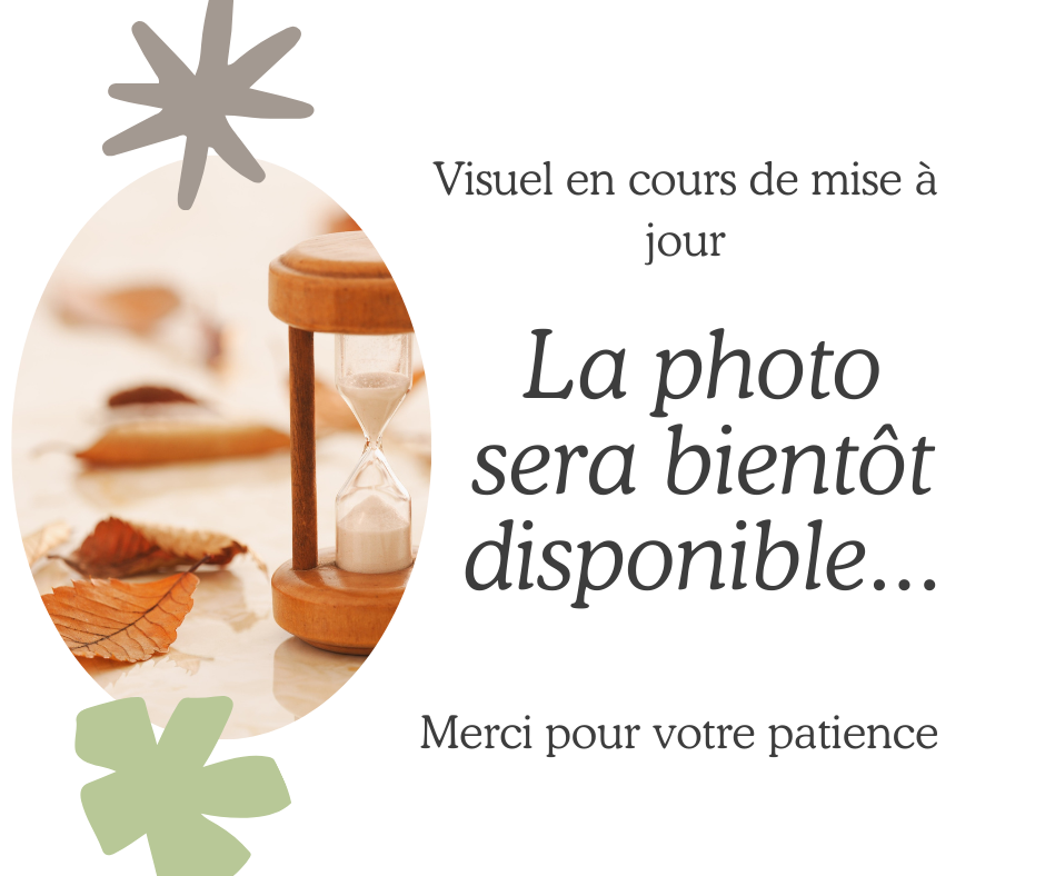 Carte - Coming soon (2)